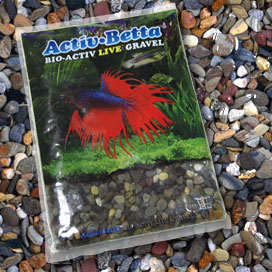 Betta Water for your betta fish