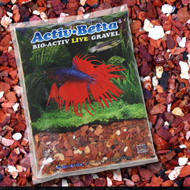 Betta Water for your betta fish