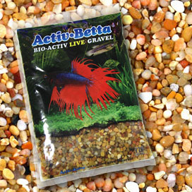 Betta Water for your betta fish